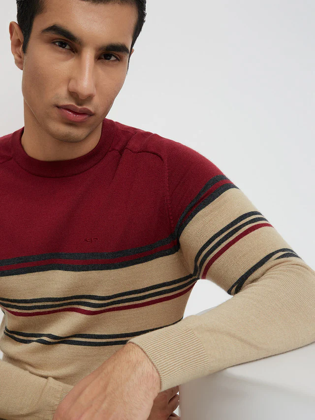 Men Fawn Tailored Fit Stripe Merino Wool Acrylic Blend Full Sleeve V Neck Collar Sweaters - Image 6