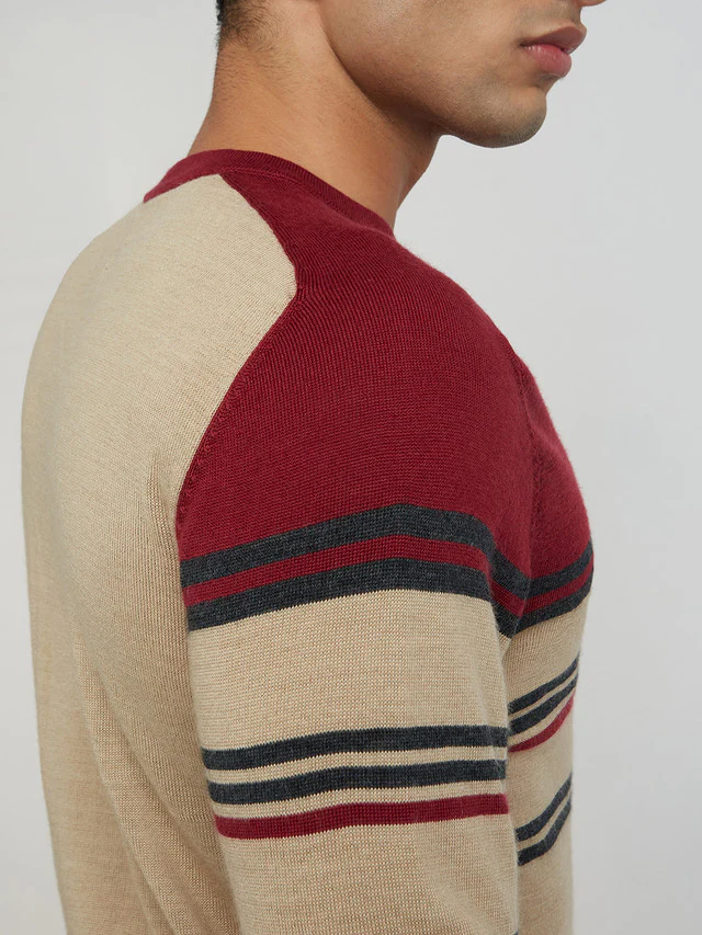 Men Fawn Tailored Fit Stripe Merino Wool Acrylic Blend Full Sleeve V Neck Collar Sweaters - Image 7