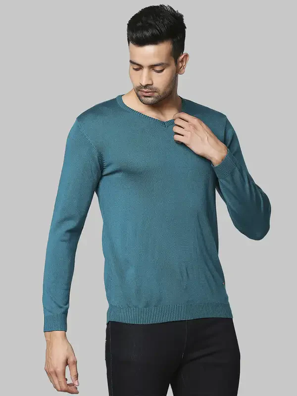 Men Green Regular Fit Solid Acrylic Full Sleeve V Neck Collar Sweaters - Image 2
