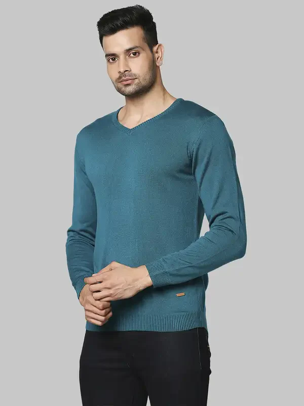 Men Green Regular Fit Solid Acrylic Full Sleeve V Neck Collar Sweaters - Image 3