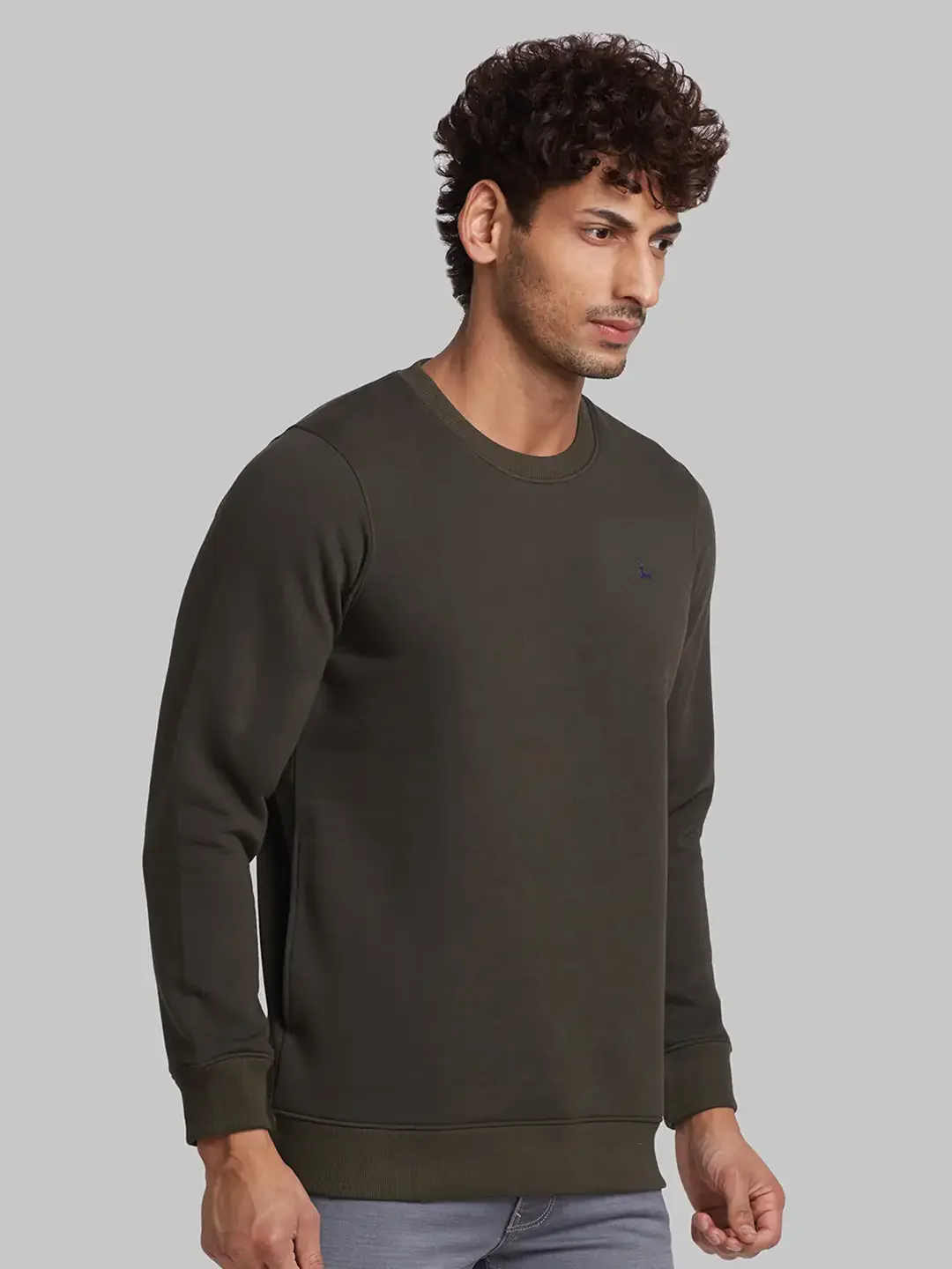 Men Green Regular Fit Solid Cotton Blend Sweatshirts - Image 2