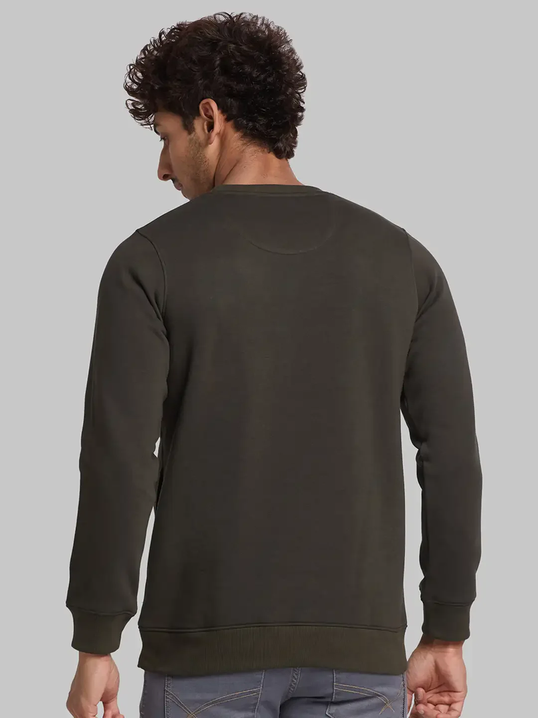 Men Green Regular Fit Solid Cotton Blend Sweatshirts - Image 4