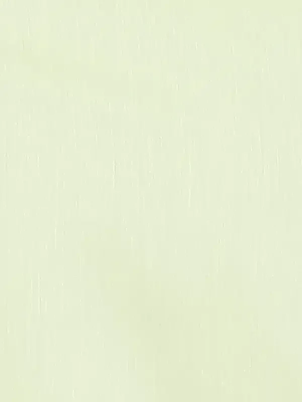 Men Green Slim Fit Chambray Cotton Shirts - Image 7