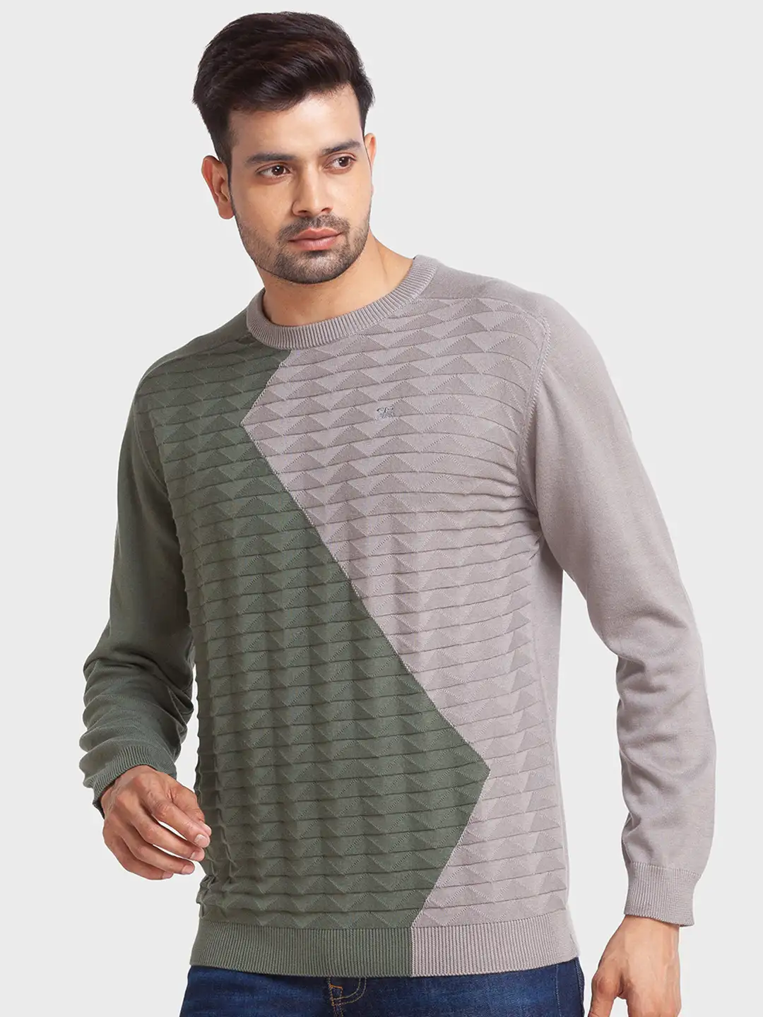 Men Green Tailored Fit Jacquard Cotton Full Sleeve Round Collar Sweaters - Image 3