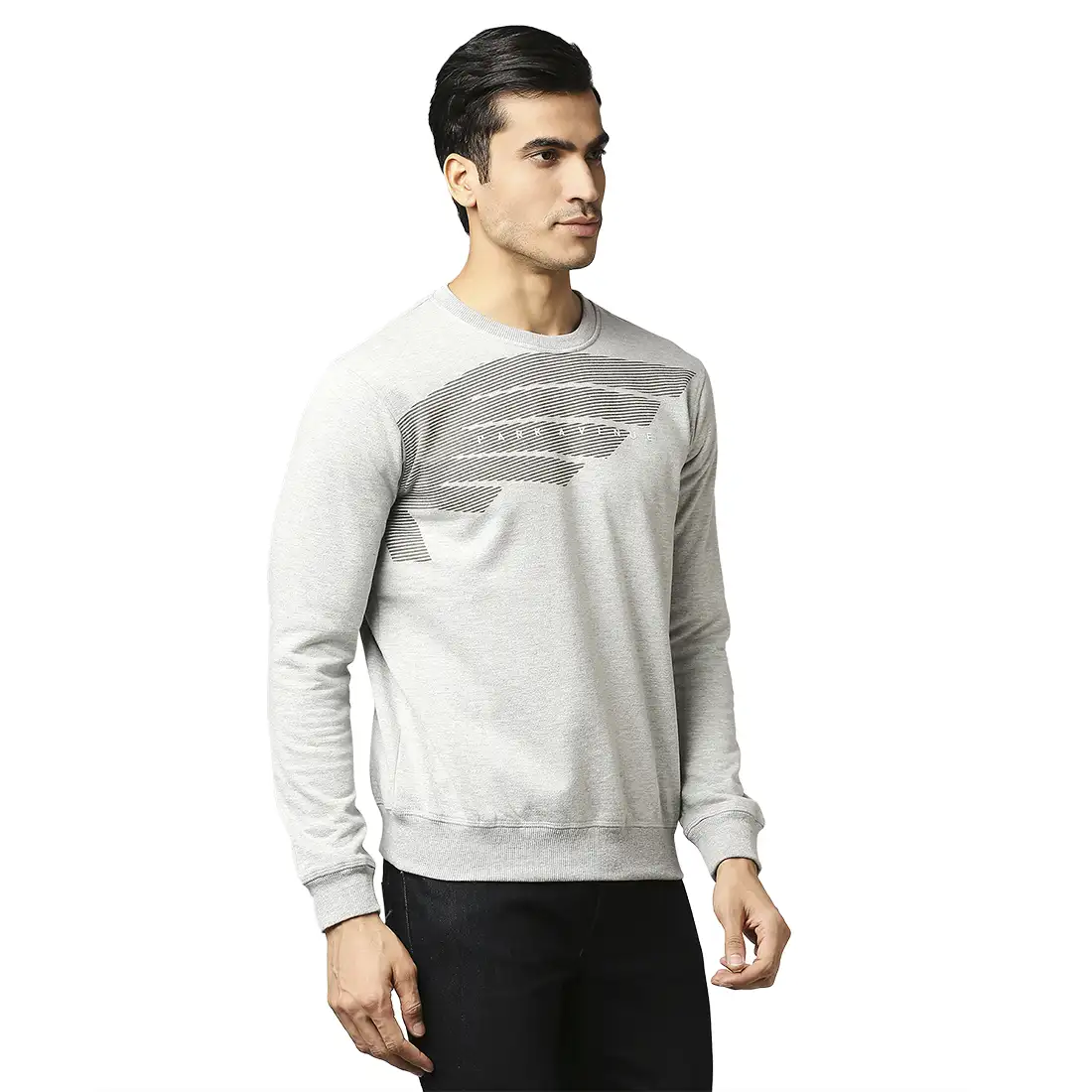 Men Grey Slim Fit Print Cotton Polyster Blend Round Collar Sweatshirts - Image 2