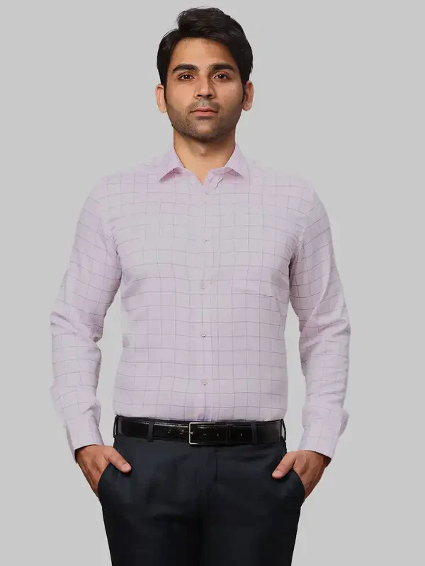 Park Avenue Men Pink Checks Regular Fit Cotton Formal Shirt