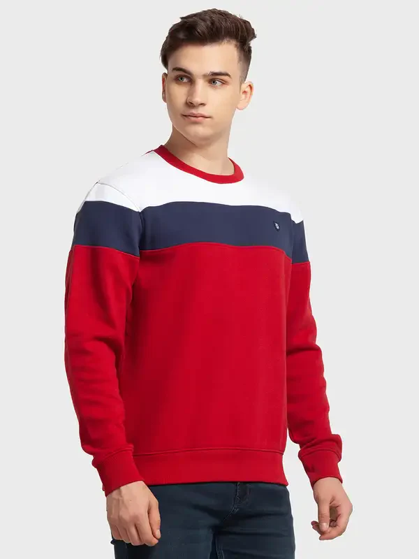 Men Red Tailored Fit Stripe Cotton Polyester Blend Full Sleeve Henley Neck Collar Sweatshirts - Image 2