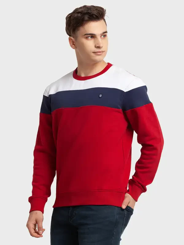 Men Red Tailored Fit Stripe Cotton Polyester Blend Full Sleeve Henley Neck Collar Sweatshirts - Image 3