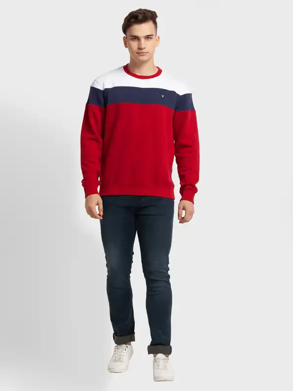 Men Red Tailored Fit Stripe Cotton Polyester Blend Full Sleeve Henley Neck Collar Sweatshirts - Image 5