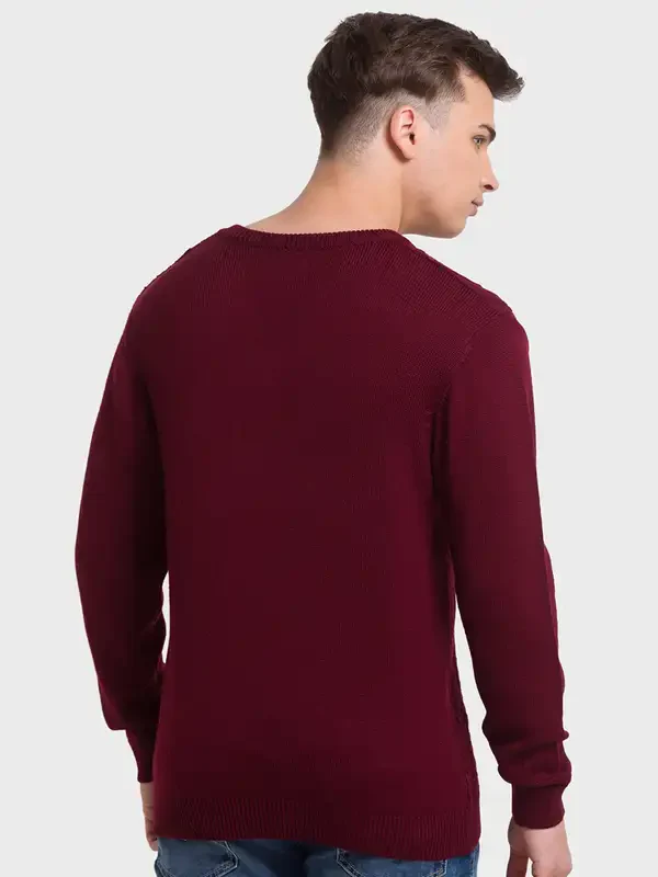 Men Red Tailored Fit Structure Acrylic Merino Blend Full Sleeve V Neck Collar Sweaters - Image 4