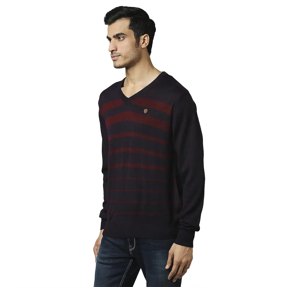 Men Violet Stripe Acrylic Wool Blend Full Sleeve V Neck Collar Sweaters - Image 3