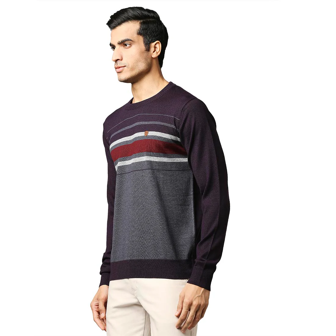 Men Violet Stripe Acrylic Wool Blend Round Collar Sweaters - Image 3