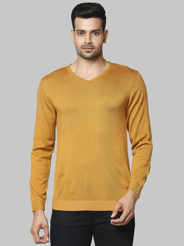 Men Yellow Regular Fit Solid Acrylic Full Sleeve V Neck Collar Sweaters