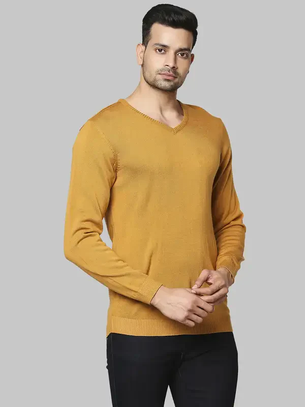 Men Yellow Regular Fit Solid Acrylic Full Sleeve V Neck Collar Sweaters - Image 2