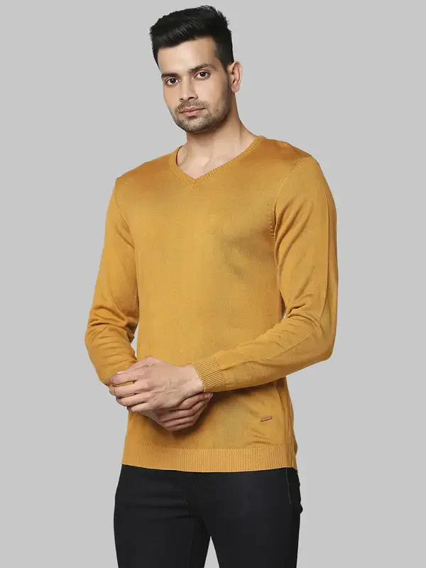 Men Yellow Regular Fit Solid Acrylic Full Sleeve V Neck Collar Sweaters - Image 3