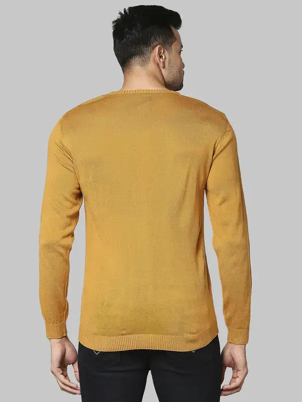 Men Yellow Regular Fit Solid Acrylic Full Sleeve V Neck Collar Sweaters - Image 4