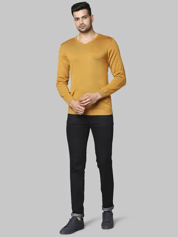 Men Yellow Regular Fit Solid Acrylic Full Sleeve V Neck Collar Sweaters - Image 5