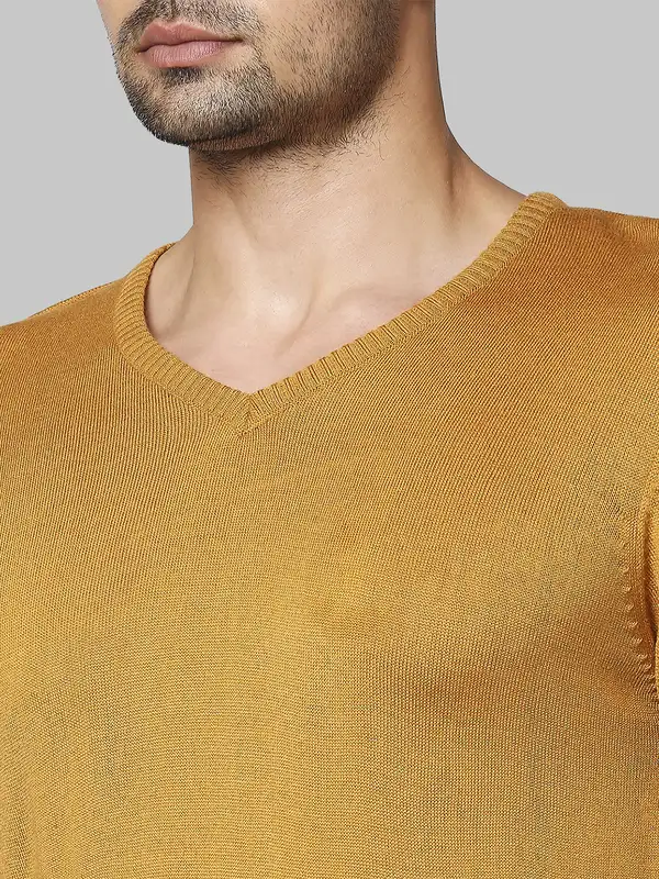 Men Yellow Regular Fit Solid Acrylic Full Sleeve V Neck Collar Sweaters - Image 6