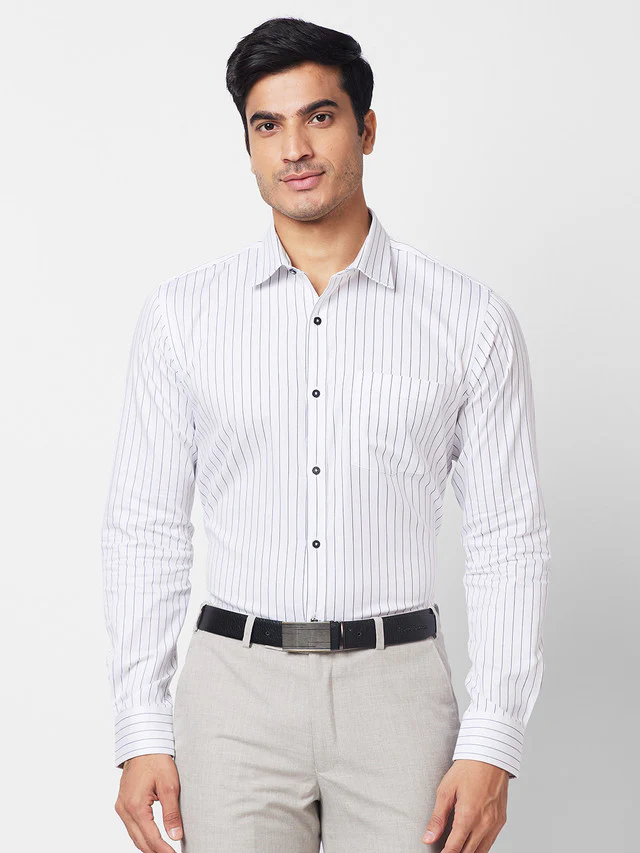 Park Avenue Black Stripe Slim Fit Cotton Formal Shirt