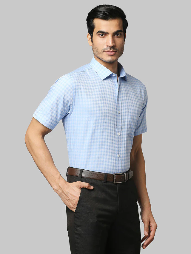 Park Avenue Blue Checks Regular Fit Cotton Formal Shirt - Image 2
