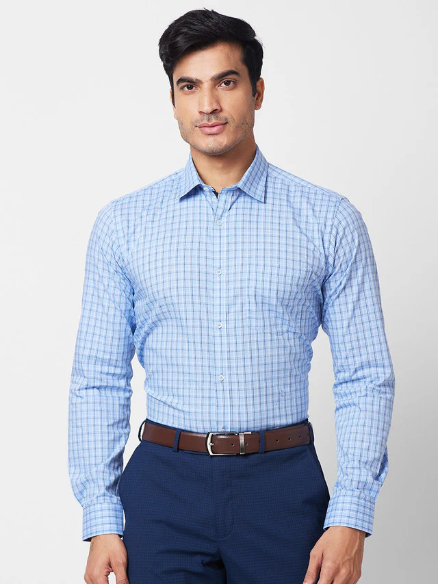 Park Avenue Blue Checks Slim Fit Cotton Formal Shirt