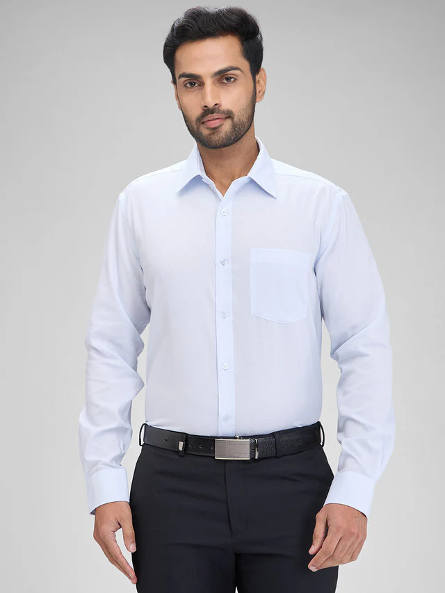 Park Avenue Blue Structure Regular Fit Full Sleeve Cotton Shirt