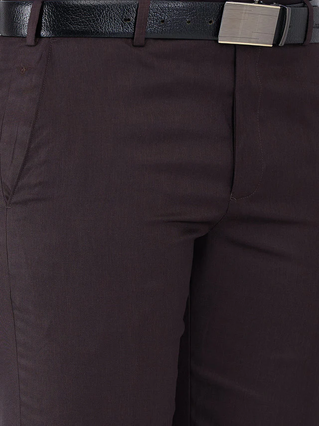 Park Avenue Brown Solid Regular Fit Polyester Blend Trouser - Image 6