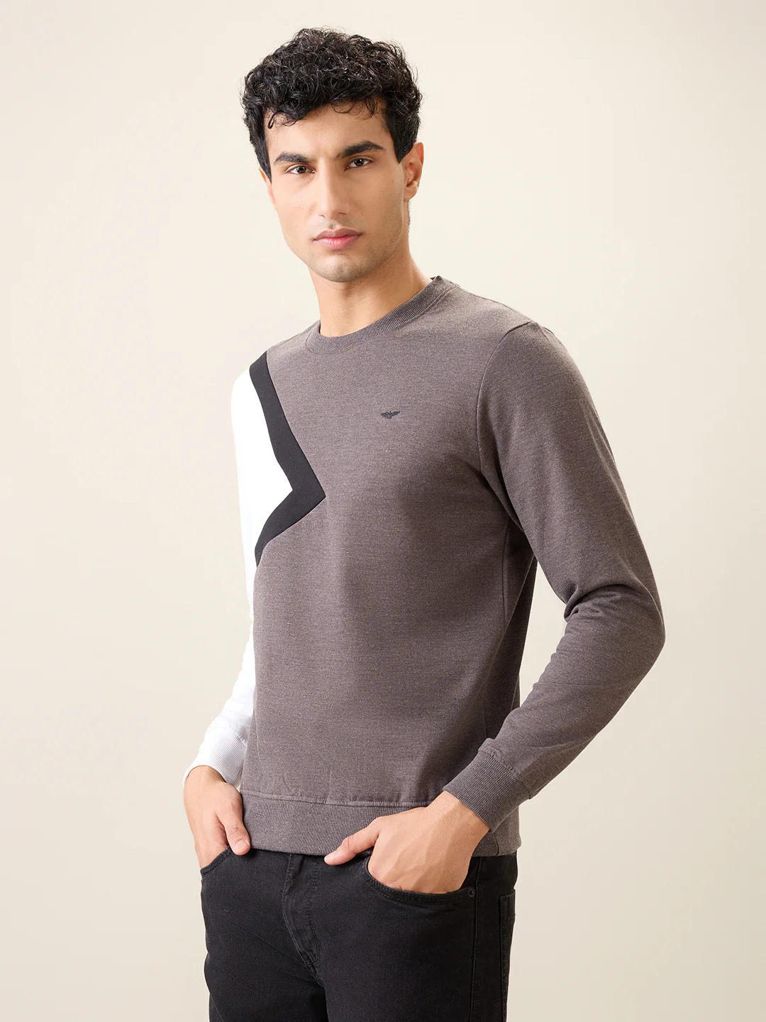 Park Avenue Men Black Cut & Sew Slim Fit Cotton Blend Crew Neck Collar Sweatshirt - Image 2