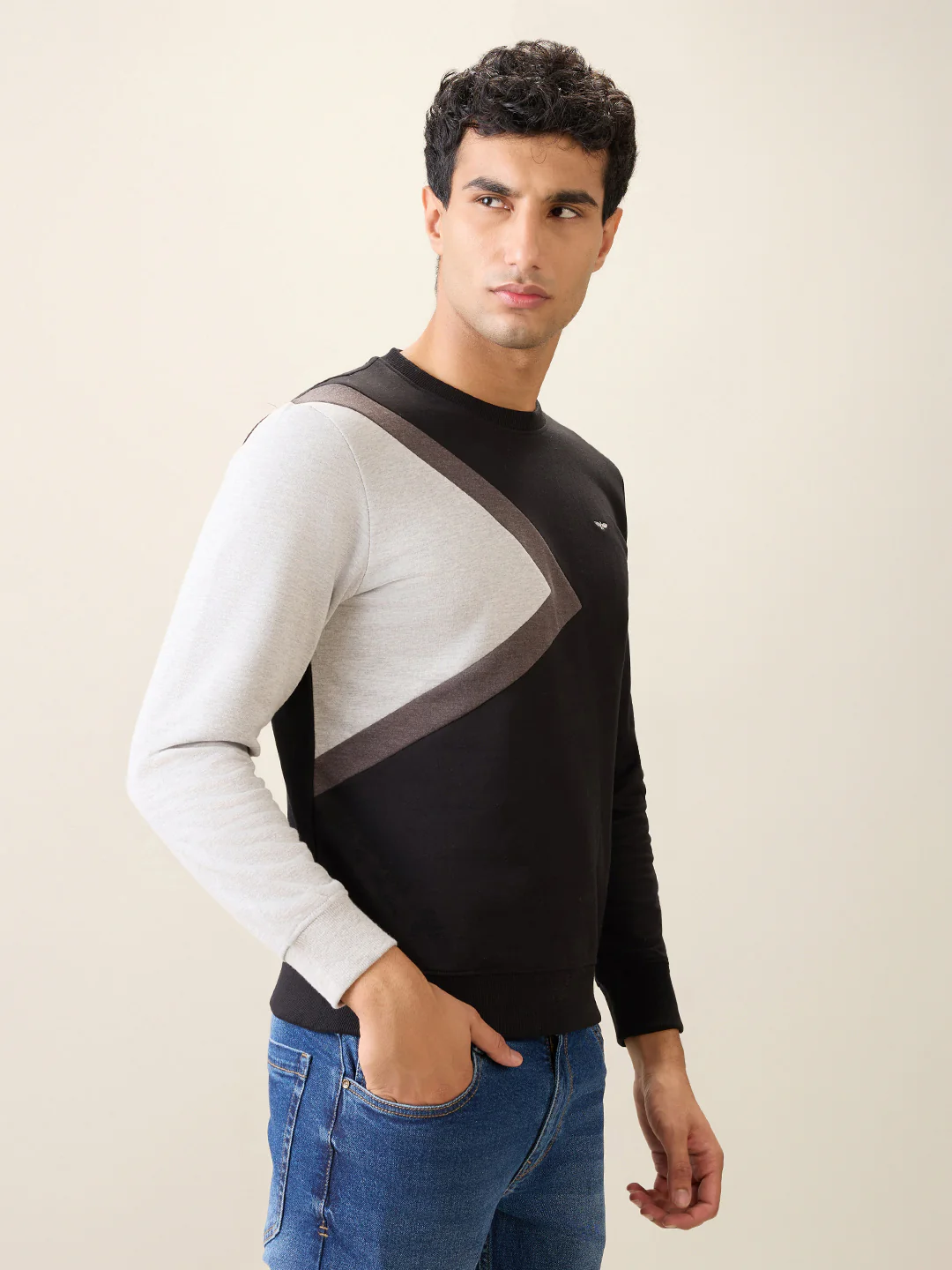 Park Avenue Men Black Cut & Sew Slim Fit Cotton Blend Crew Neck Collar Sweatshirt - Image 3