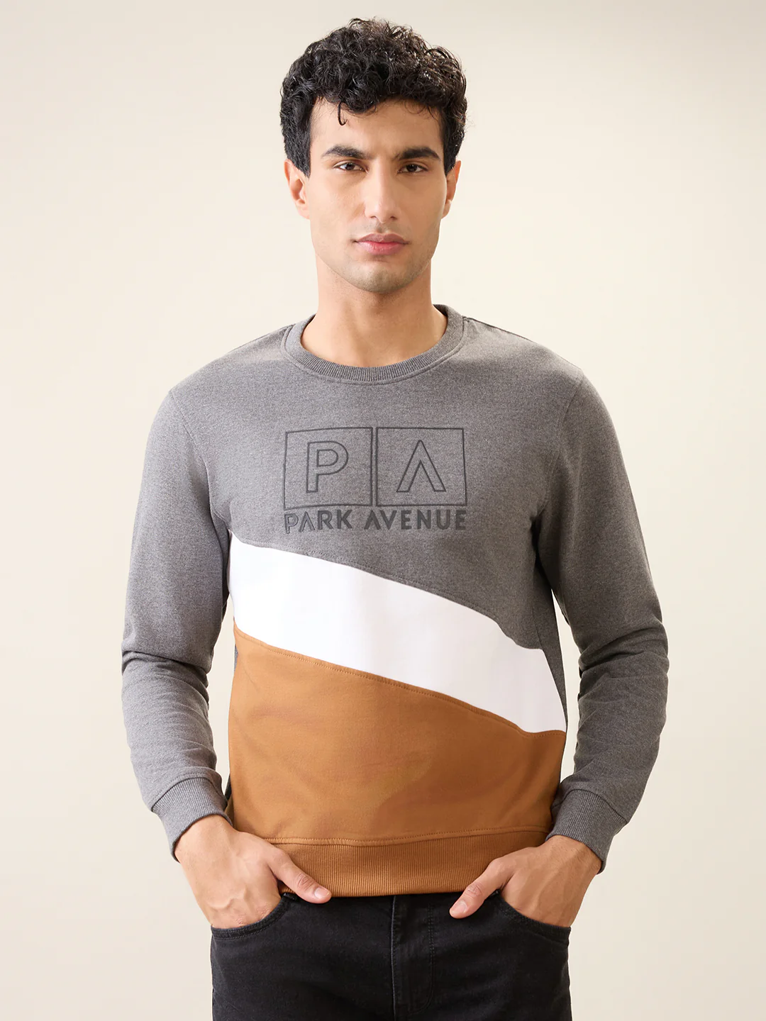 Park Avenue Men Black Cut & Sew Slim Fit Cotton Blend Crew Neck Collar Sweatshirt