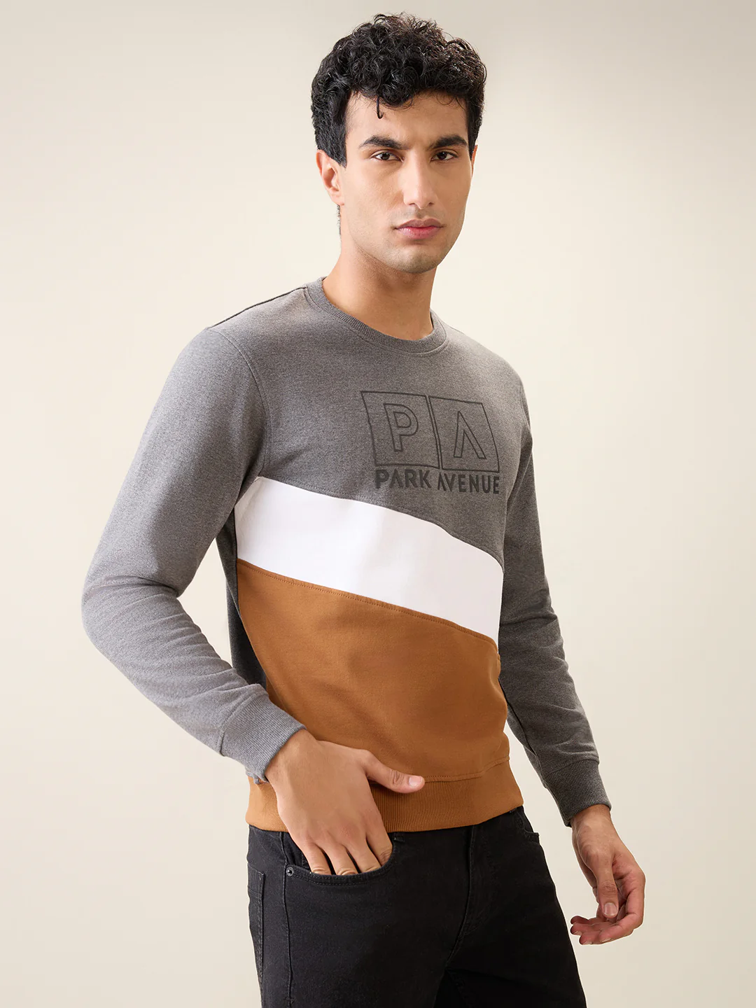 Park Avenue Men Black Cut & Sew Slim Fit Cotton Blend Crew Neck Collar Sweatshirt - Image 3