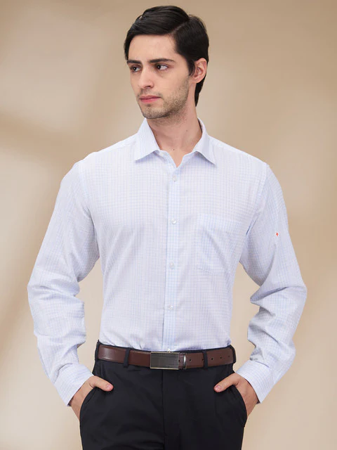 Park Avenue Men Blue Checks Regular Fit Cotton Shirt