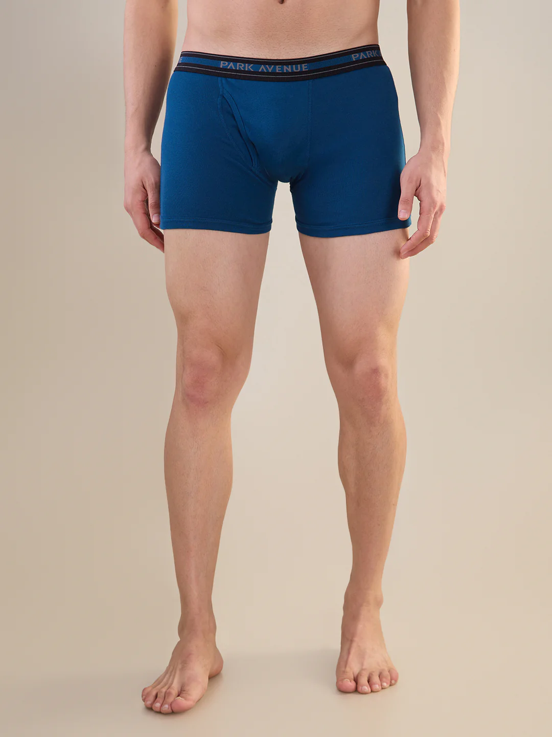 Park Avenue Men Blue Cotton Trunk