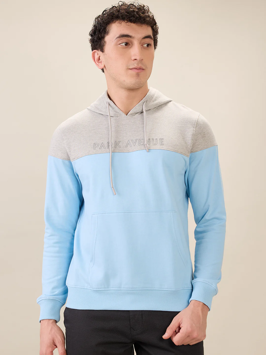 Park Avenue Men Blue Cut & Sew Slim Fit Cotton Blend Sweatshirt