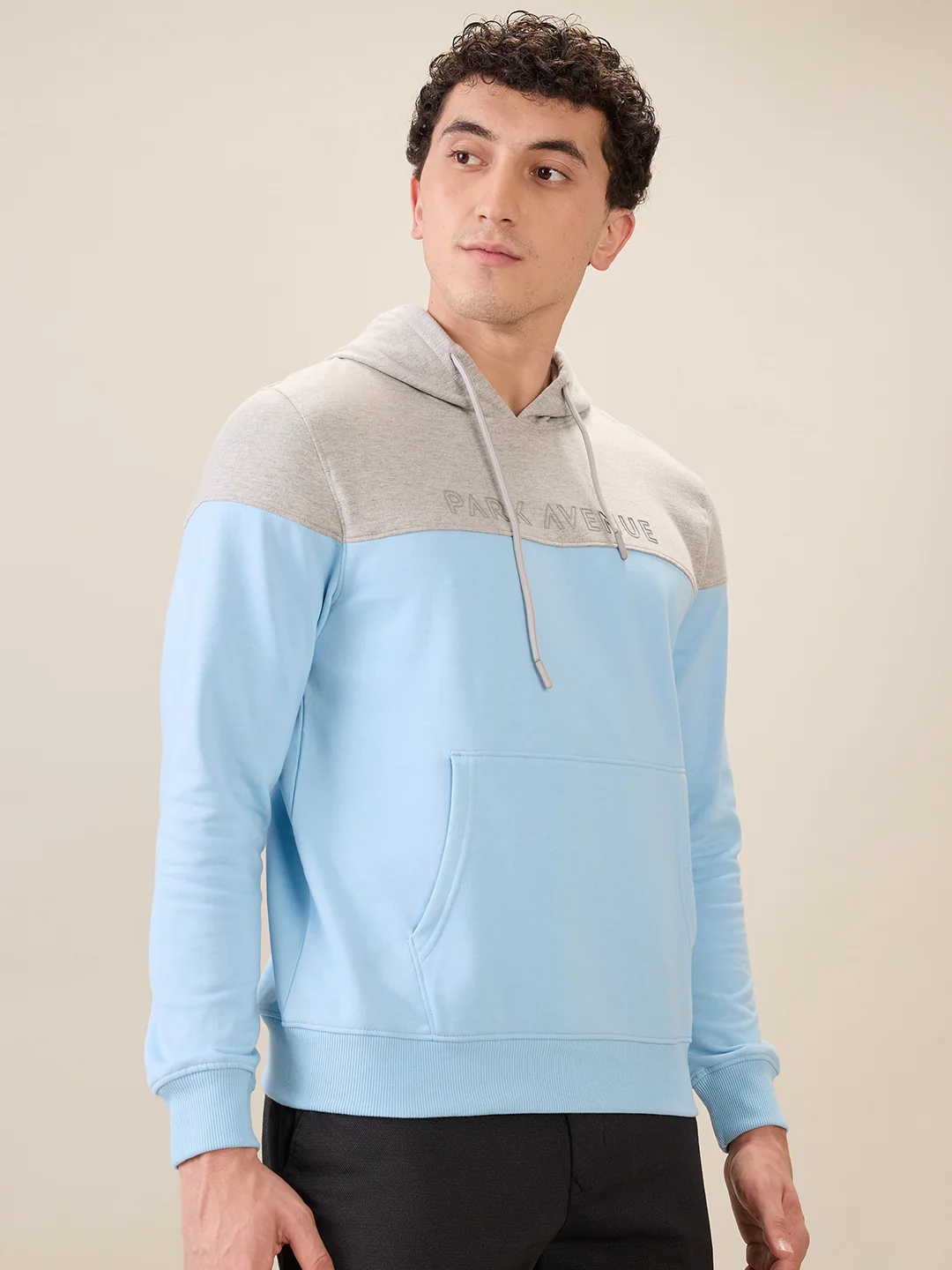 Park Avenue Men Blue Cut & Sew Slim Fit Cotton Blend Sweatshirt - Image 2