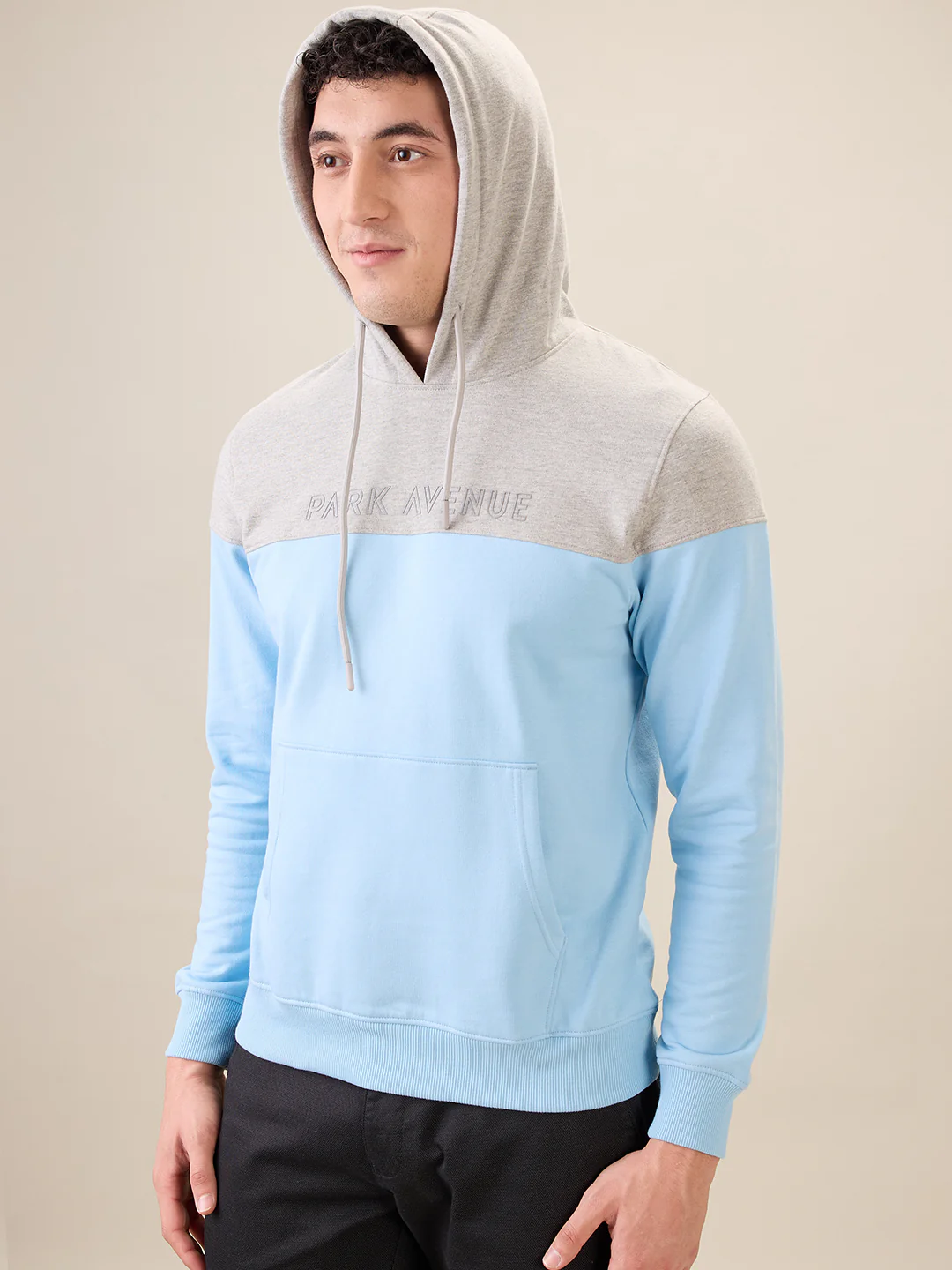 Park Avenue Men Blue Cut & Sew Slim Fit Cotton Blend Sweatshirt - Image 3