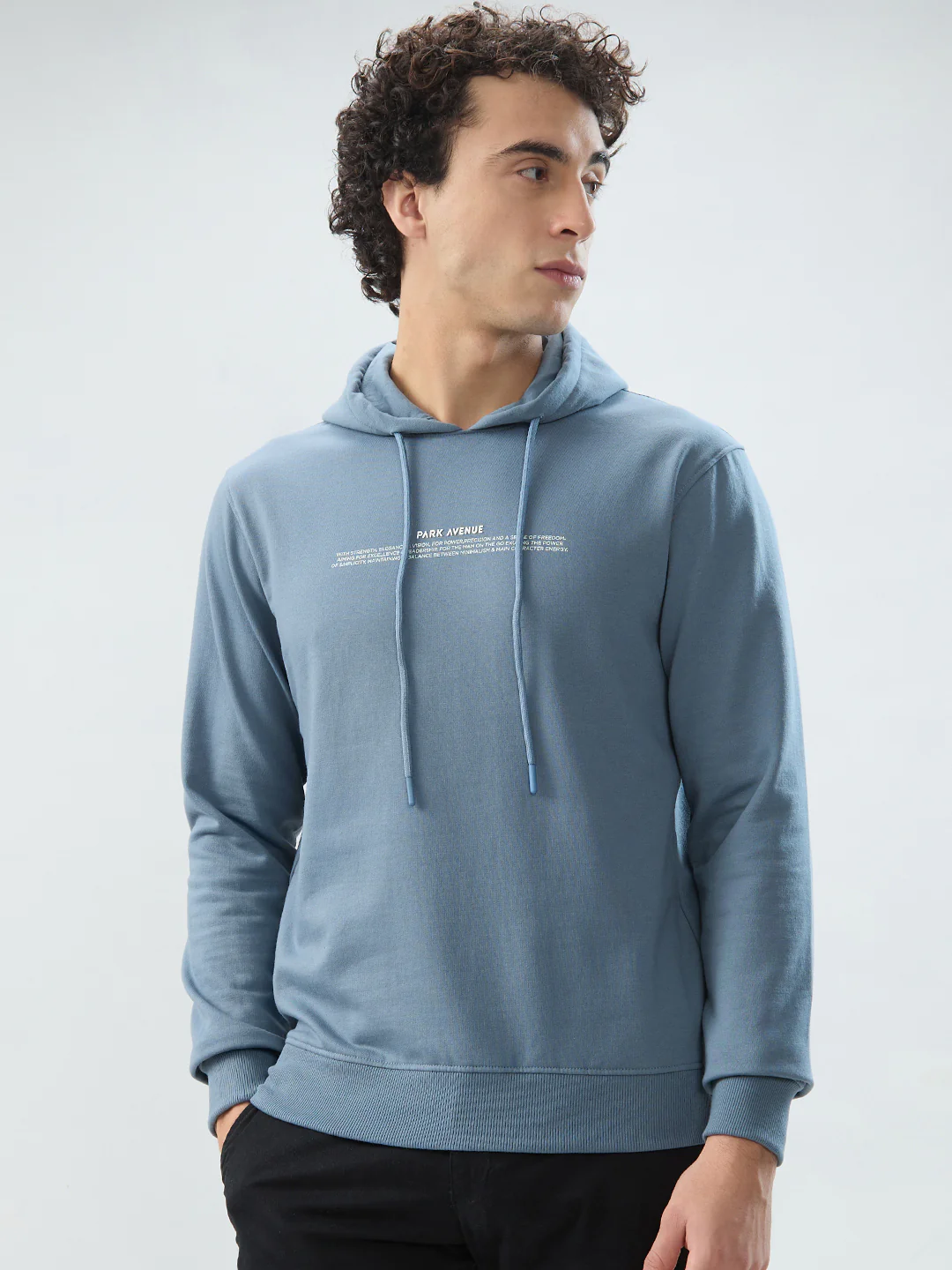 Park Avenue Men Blue Print Slim Fit Cotton Blend Sweatshirt