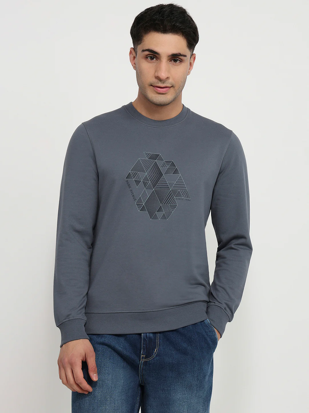 Park Avenue Men Blue Print Slim Fit Cotton Blend Sweatshirt
