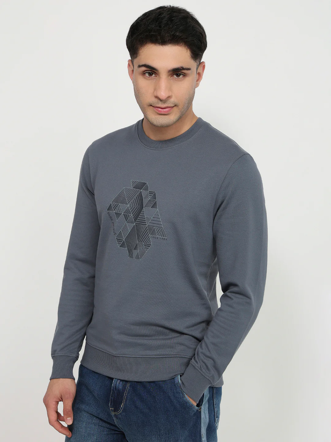Park Avenue Men Blue Print Slim Fit Cotton Blend Sweatshirt - Image 2