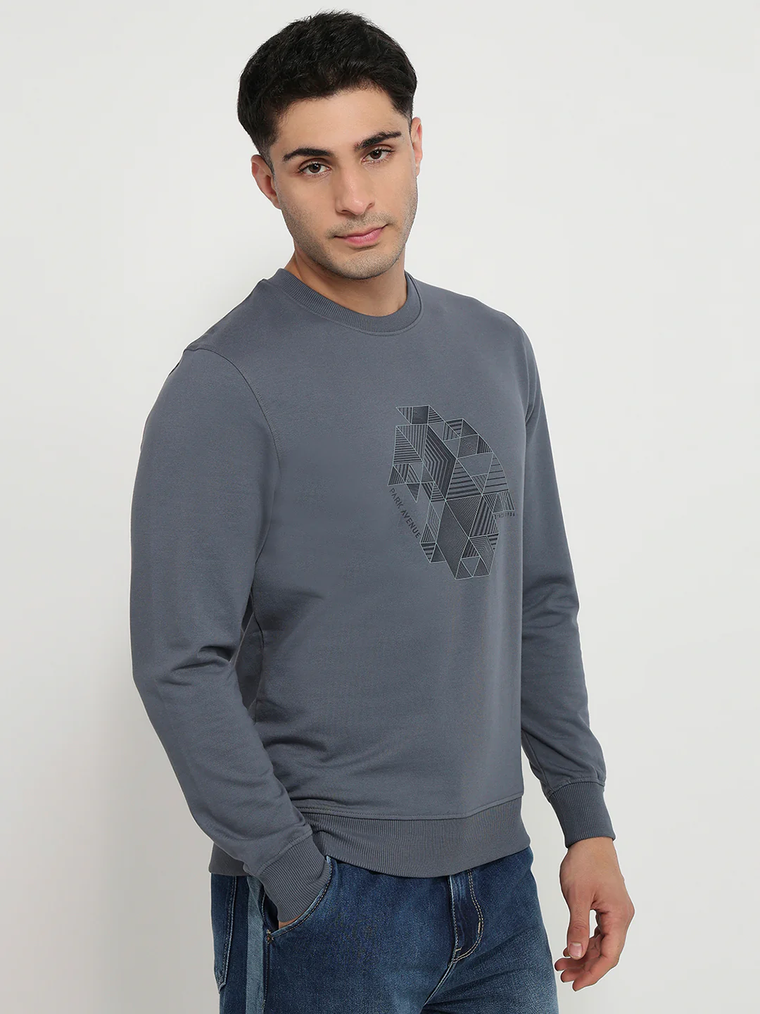 Park Avenue Men Blue Print Slim Fit Cotton Blend Sweatshirt - Image 3
