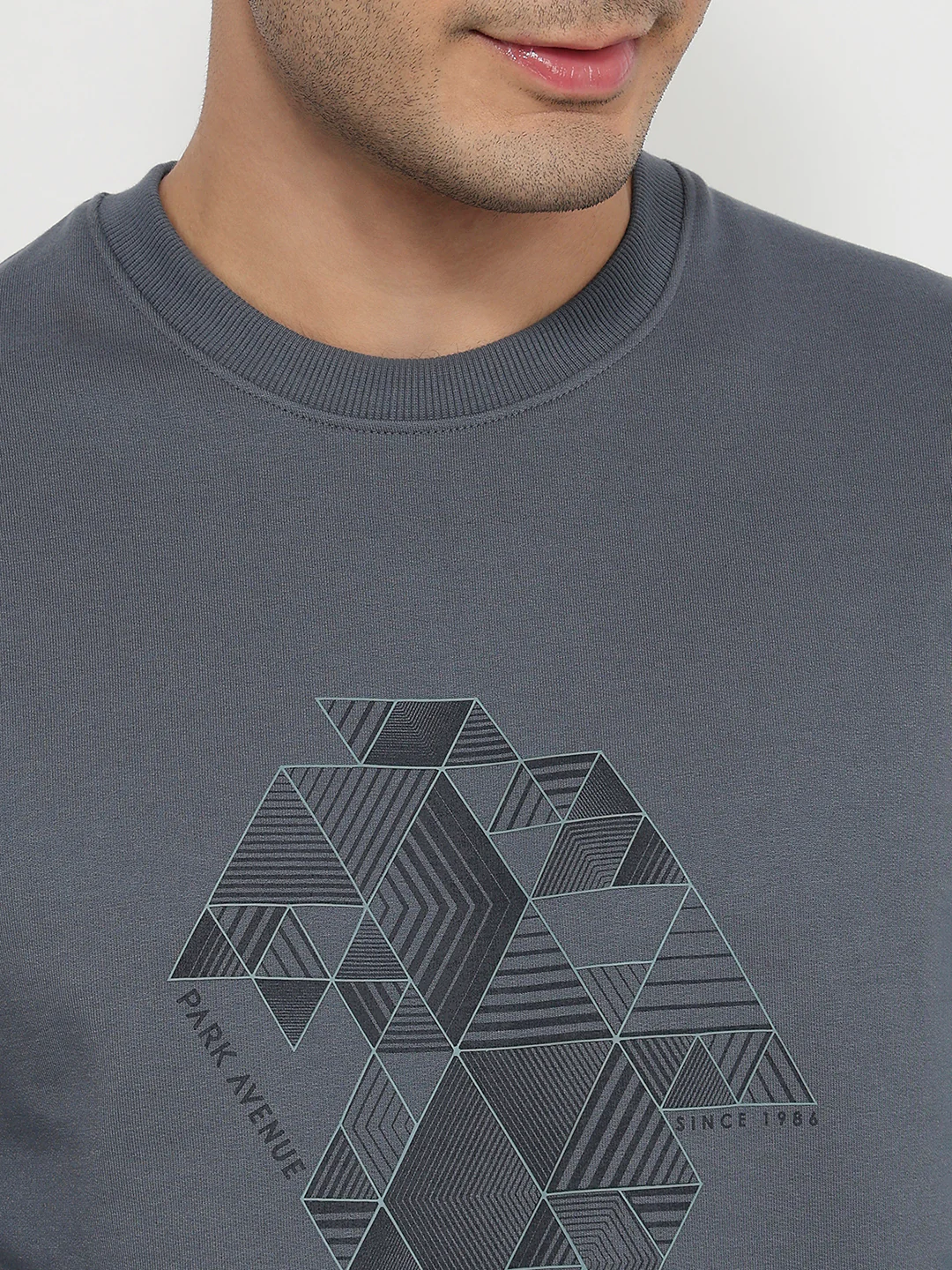 Park Avenue Men Blue Print Slim Fit Cotton Blend Sweatshirt - Image 6