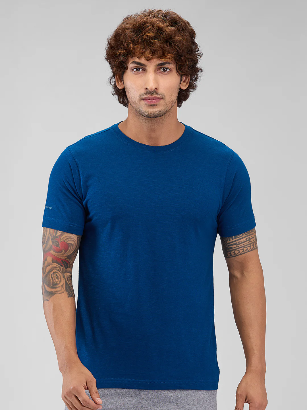 Park Avenue Men Blue Regular Fit Cotton T-Shirt