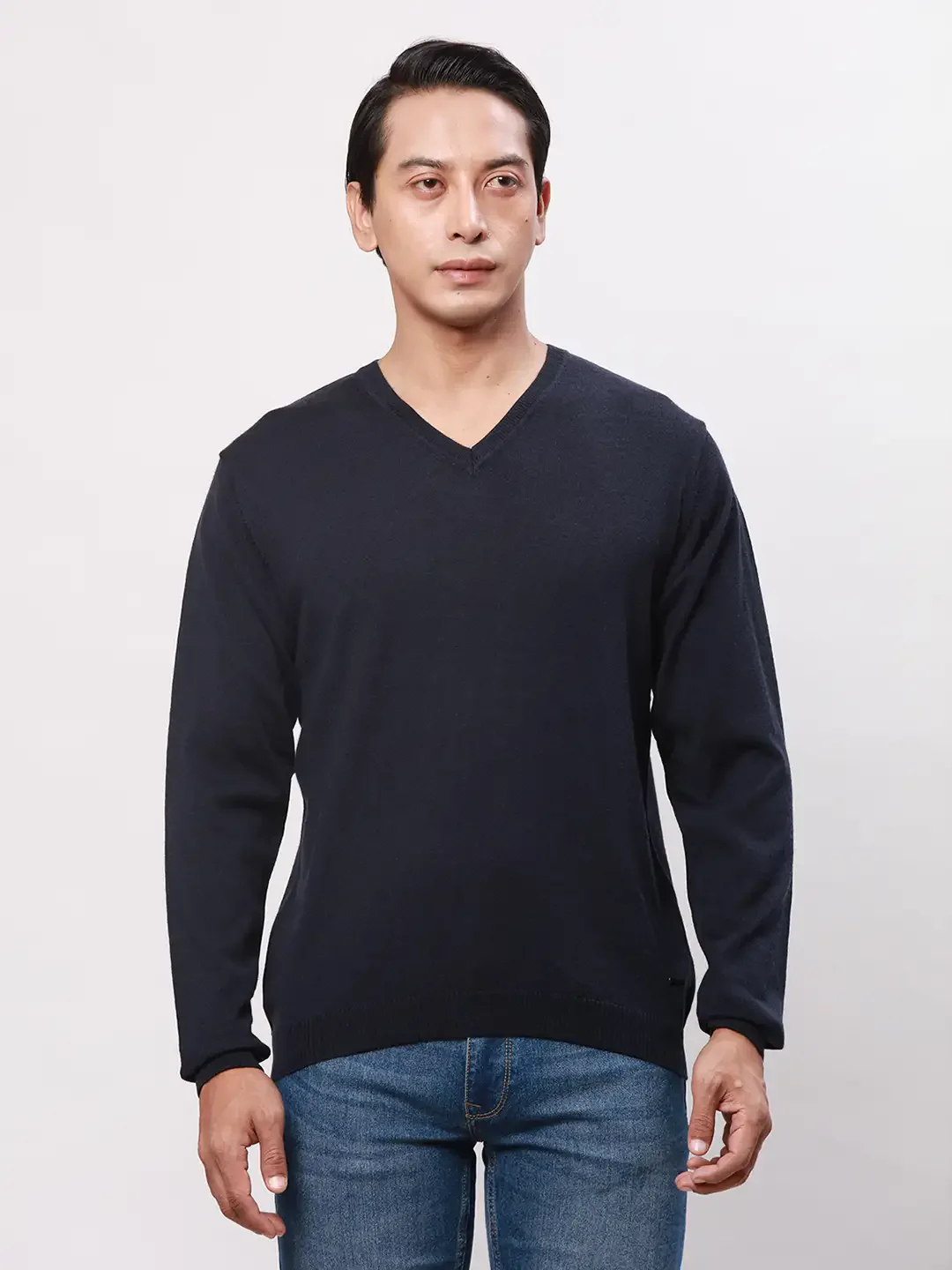 Park Avenue Men Blue Solid Regular Acrylic Blend Full Sleeve Pullover