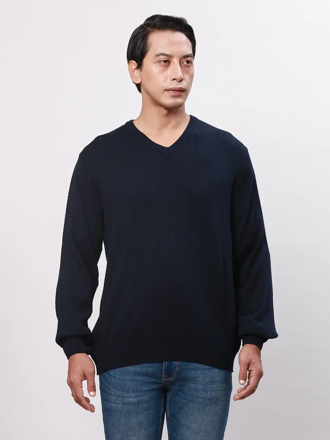 Park Avenue Men Blue Solid Regular Acrylic Full Sleeve Pullover