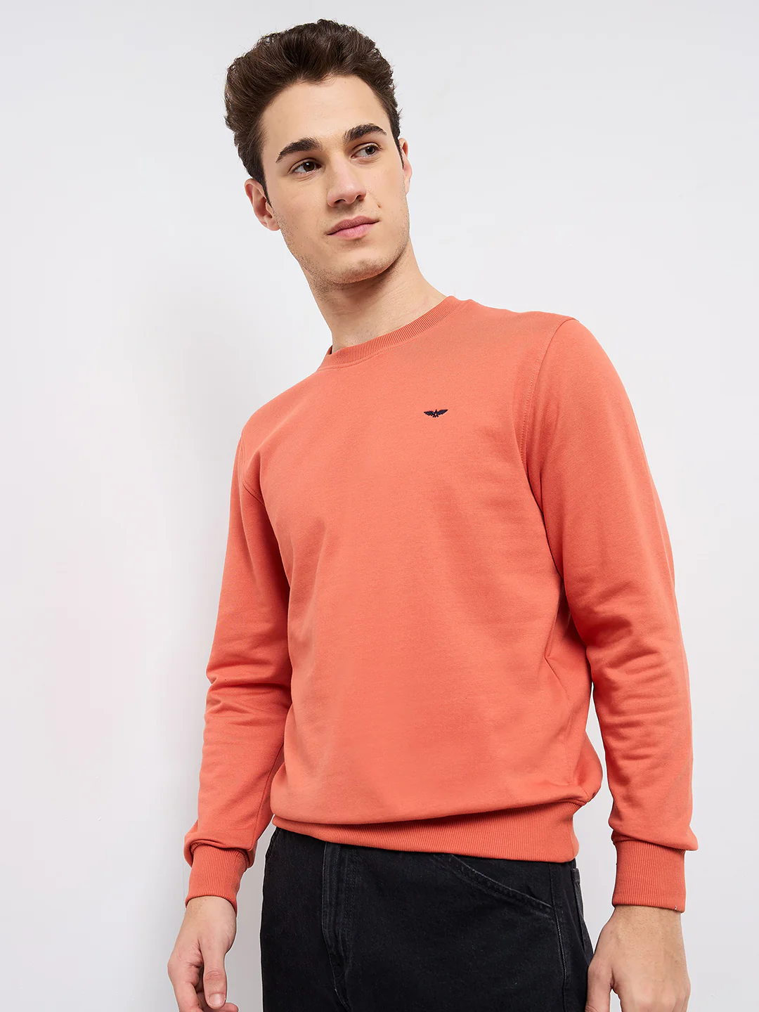 Park Avenue Men Blue Solid Slim Fit Cotton Blend Round Neck Collar Sweatshirt - Image 3