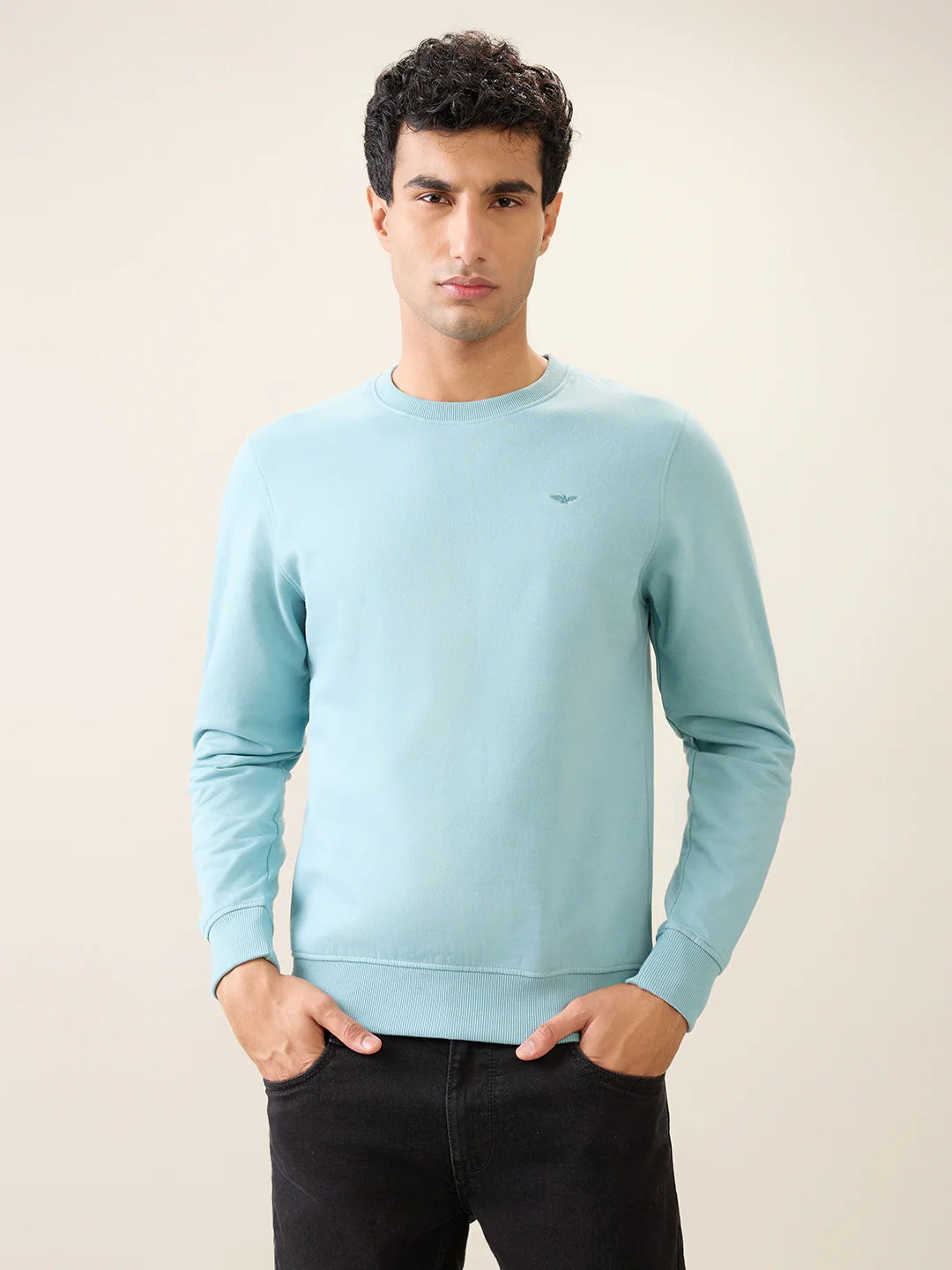 Park Avenue Men Blue Solid Slim Fit Cotton Blend Round Neck Collar Sweatshirt