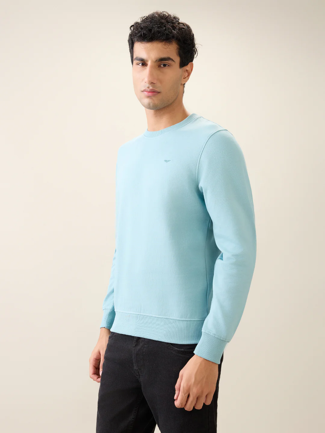 Park Avenue Men Blue Solid Slim Fit Cotton Blend Round Neck Collar Sweatshirt - Image 2
