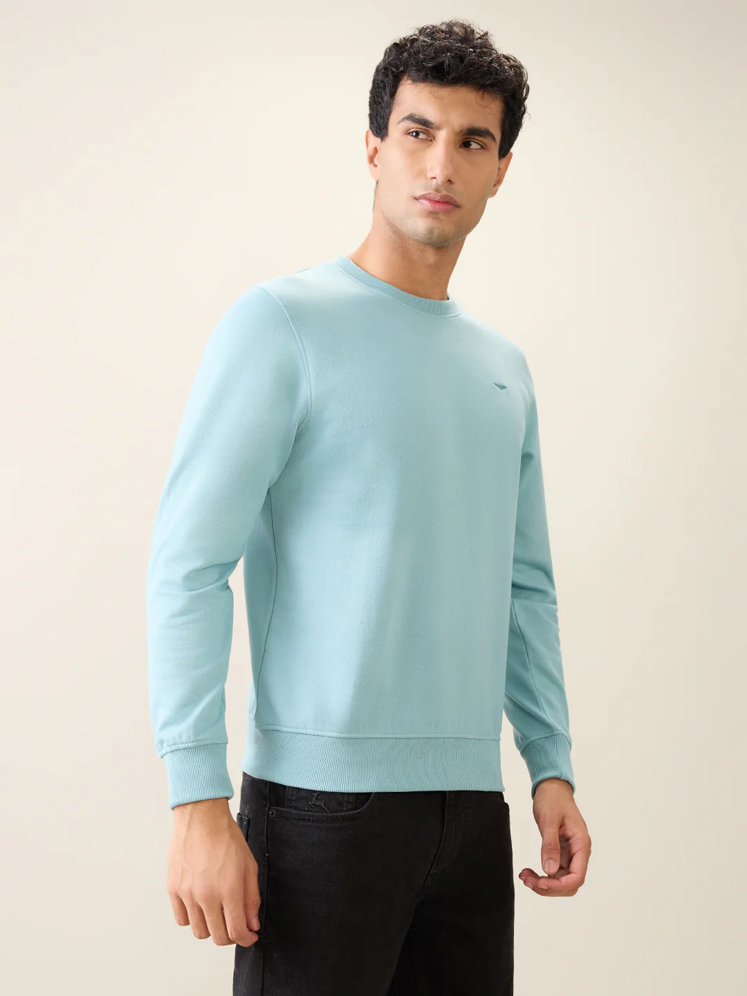 Park Avenue Men Blue Solid Slim Fit Cotton Blend Round Neck Collar Sweatshirt - Image 3