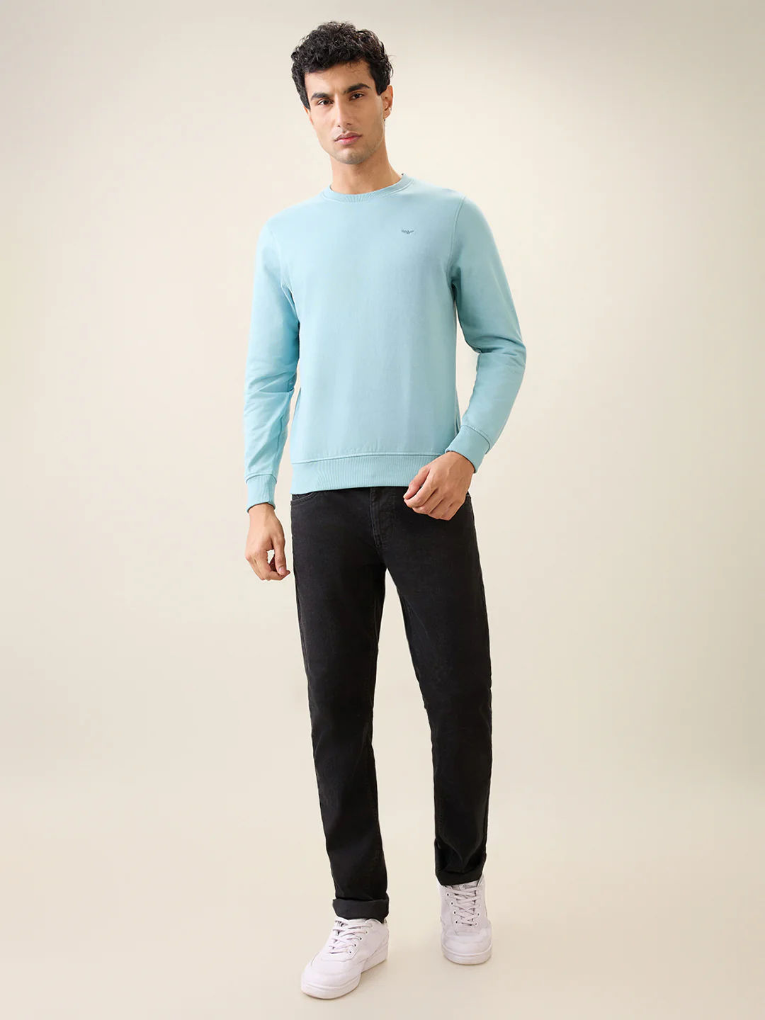 Park Avenue Men Blue Solid Slim Fit Cotton Blend Round Neck Collar Sweatshirt - Image 5