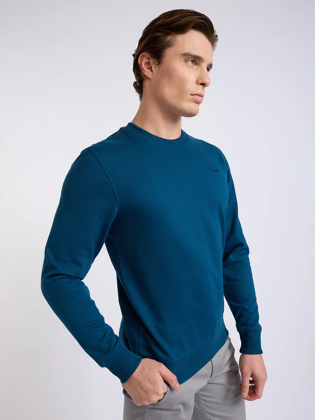 Park Avenue Men Blue Solid Slim Fit Cotton Blend Round Neck Collar Sweatshirt - Image 2